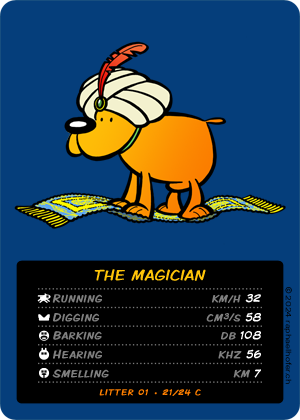 loldog TCG 21/24 The Magician