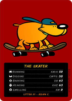 loldog TCG 23/24 The Skater