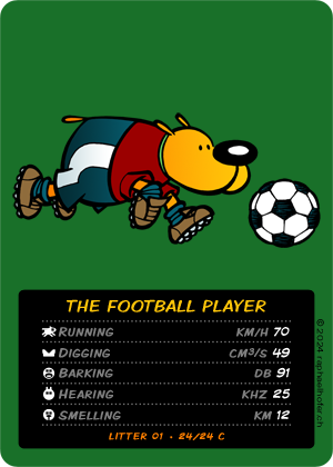 loldog TCG 24/24 The Football Player 